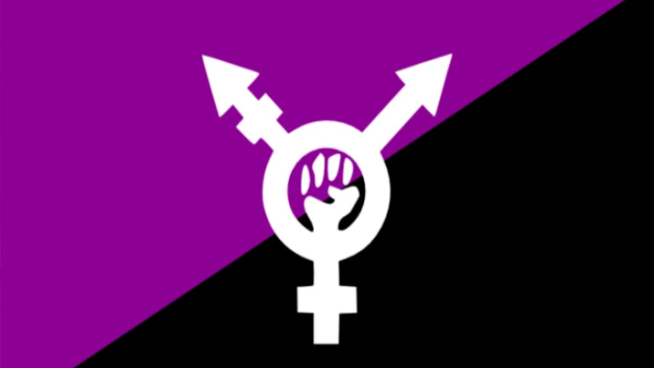 Анархо-феминизм. Флаг анархо феминисток. Знамя феминизма. Символ анархо феминизма. Флаг феминизма