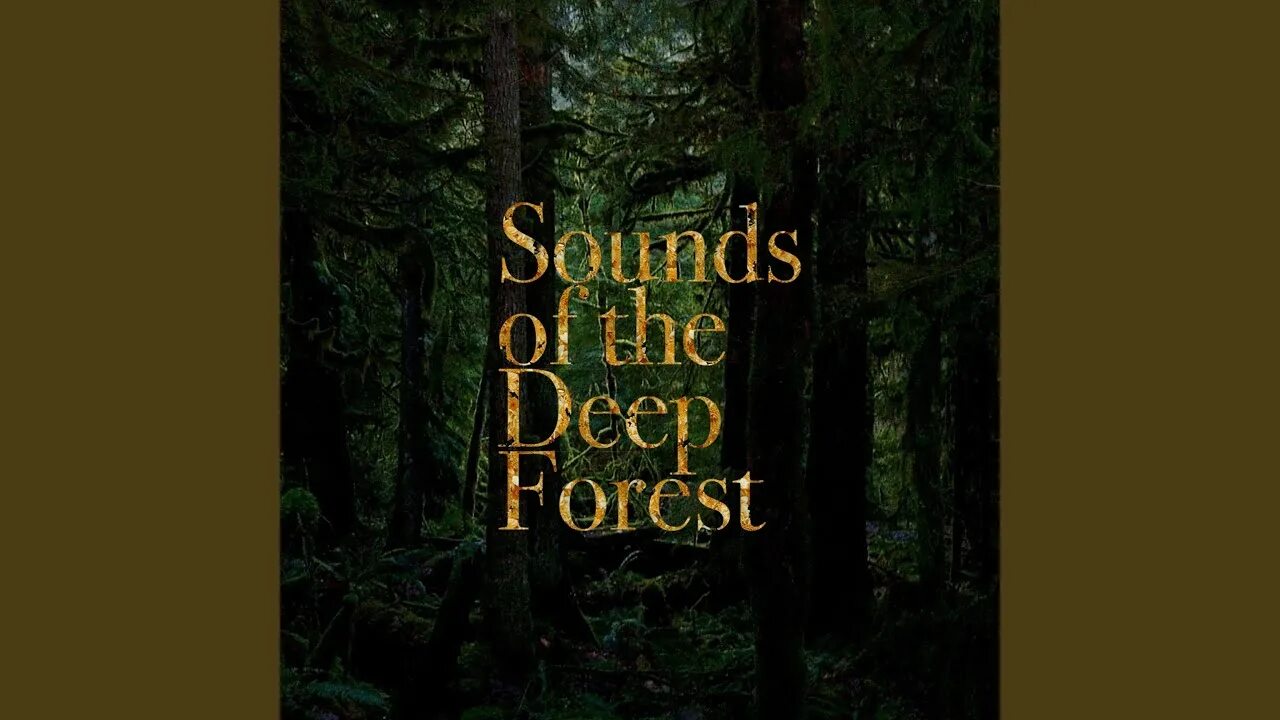 Deep forest logo. Пиньинь 你. Argonik - forest harmonies. Close to nature. Sounds of nature.