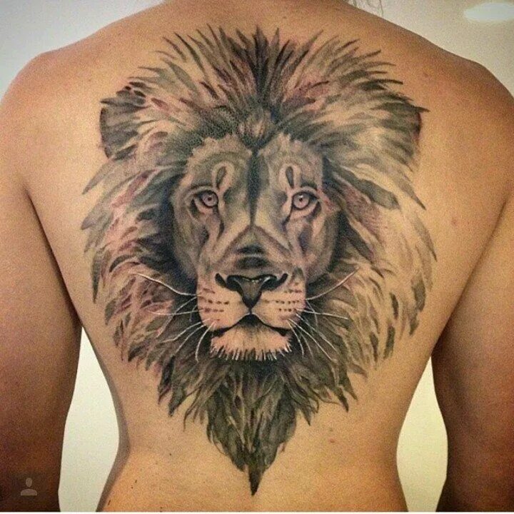 Тату льва на лопатке мужские. Тату льва на спине. Тату лев на спине мужские. Тату льва на спине. Тату льва на спине.