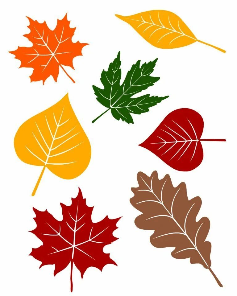 Осенние листья для вырезания. Осенние листья. Осенние листочки. Листья деревьев. Цветной лист.