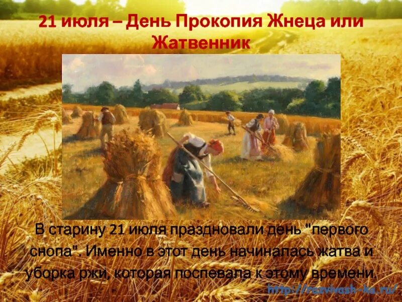 Что означает выражение жито жать