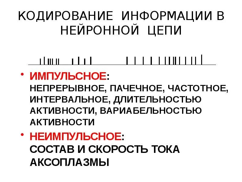 Кодирование информации физиология. Импульсная кодировка информации. интервальное кодирование. кодирование информации в нейронных сетях. интервальное импульсное кодирование.