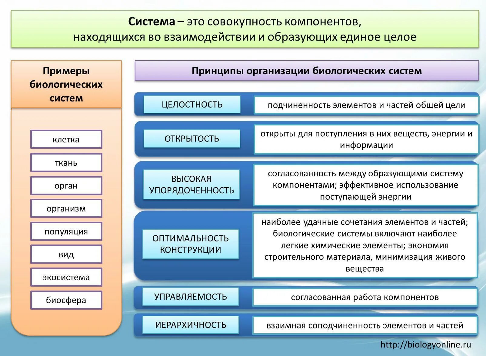 Что является примером проявления