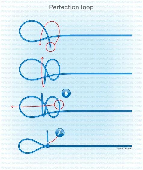 Loop off. Perfection loop узел нахлыстовый. узел перфекшн луп. узел perfection loop. узлы для рыболовных снастей.