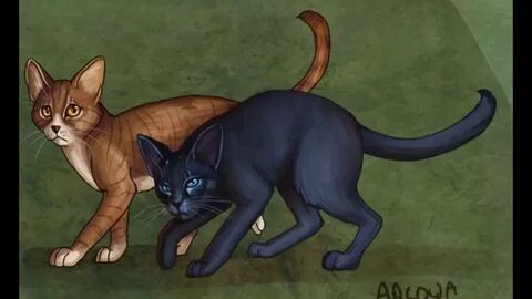 Грач и листвичка коты