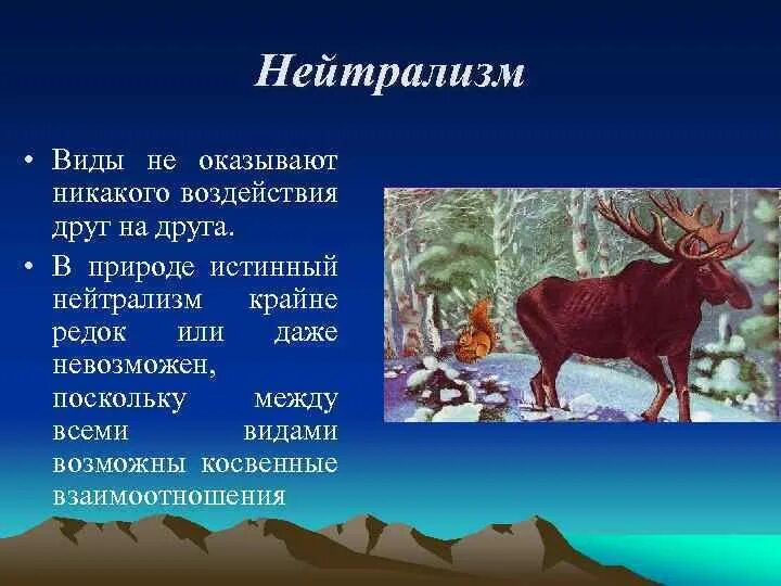 Что такое нейтрализм. Нейтрализм в тундре. Типы экологических взаимодействий нейтрализм. Нейтрализм Тип взаимоотношений. Нейтрализм у растений.