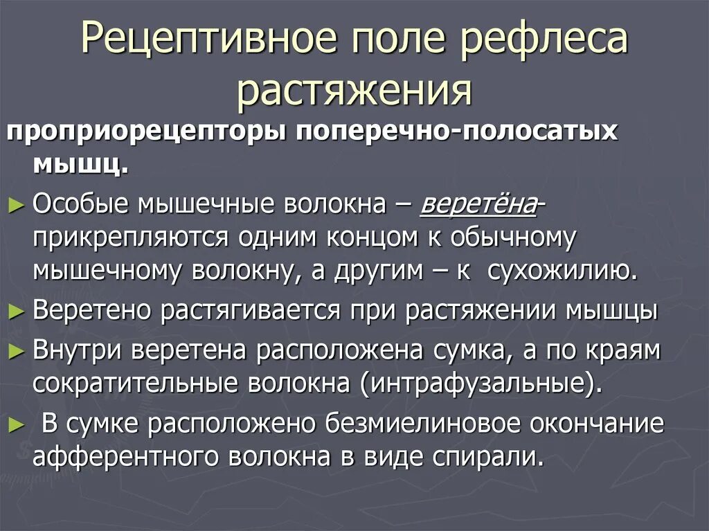 Поле рефлекса. Рецептивное поле. Рецептивное поле рефлекса. Рецептивные поля спинного мозга. Роль рецептивного поля рефлекса в адаптации.