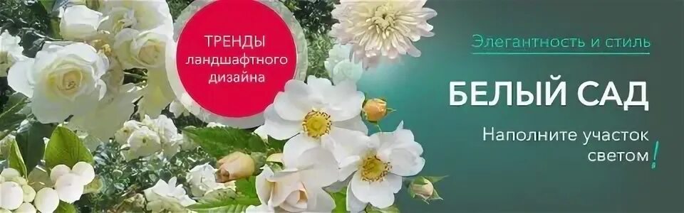 Procvetok магазин. Процветок каталог 2023 года. Удобрение для орхидей в порошке. Растиславно орхидея. Сады россии интернет-магазин каталог.