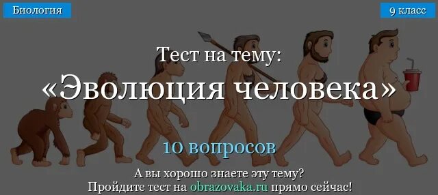 Работа по теме эволюция 9 класс. Эволюция человека тест. Тест на эволюцию. Тест на тему Эволюция. Эволюция ответы на квесты.