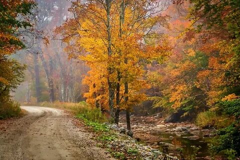 Слушать песню уходящая осень