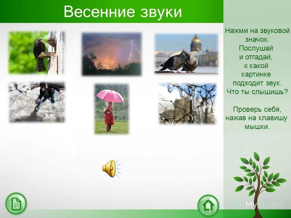Какие звуки весной. Какие звуки весной. Рассказ звуки весеннего леса. Под звуки весны. Звуки весны для детей.