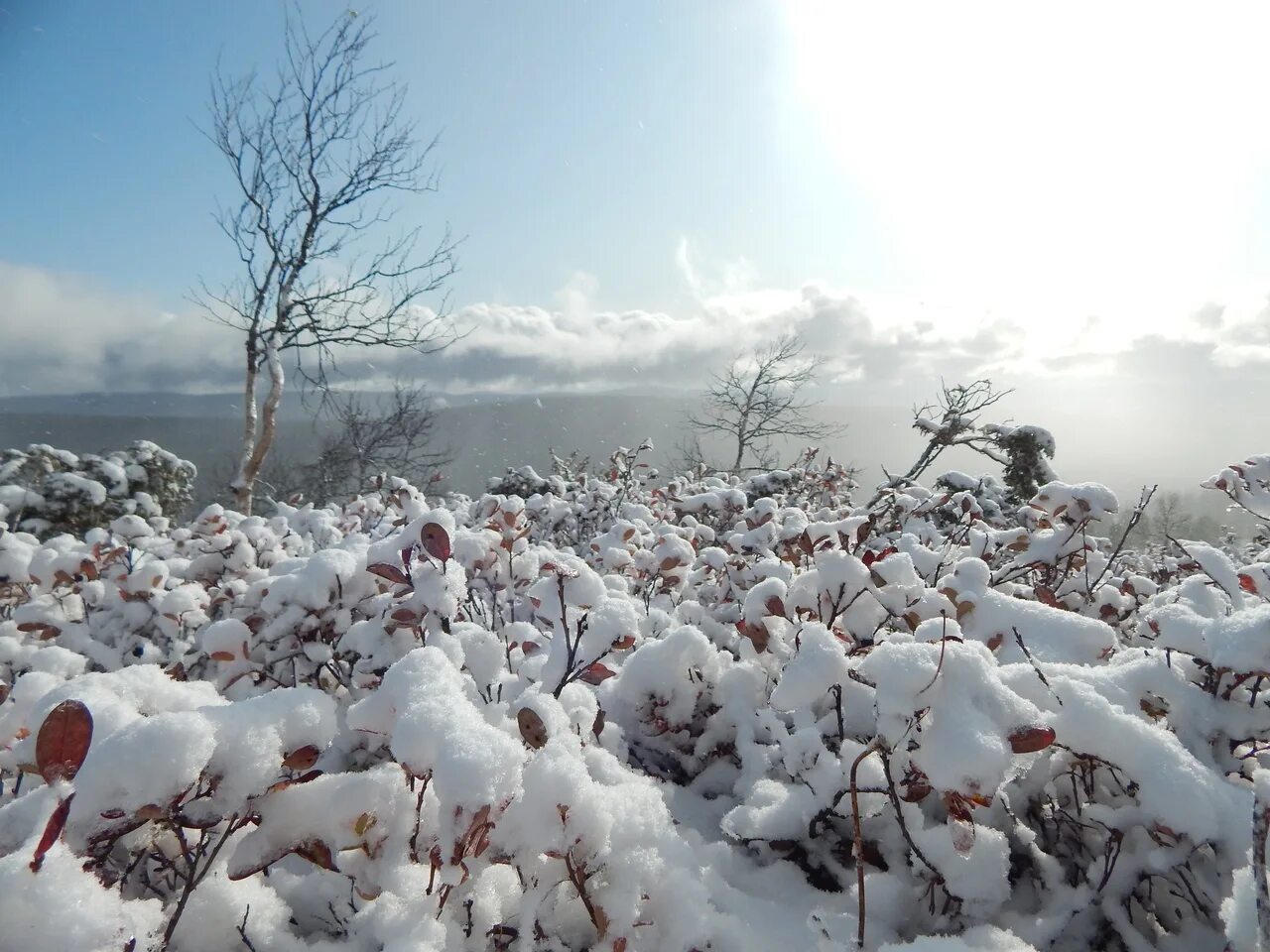 Снег покрыл все кругом. Пермский край снегопад. Снег поле. Заснеженное поле. Снег фото.