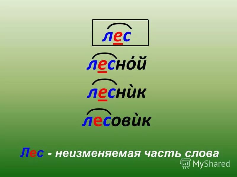 Проверить безударную гласную в слове роскошный. Разбор слова Лесовик. Ударение в словах лес Лесник Лесной. Слова лес Лесник Лесной безударные гласные. Лесник части слова.