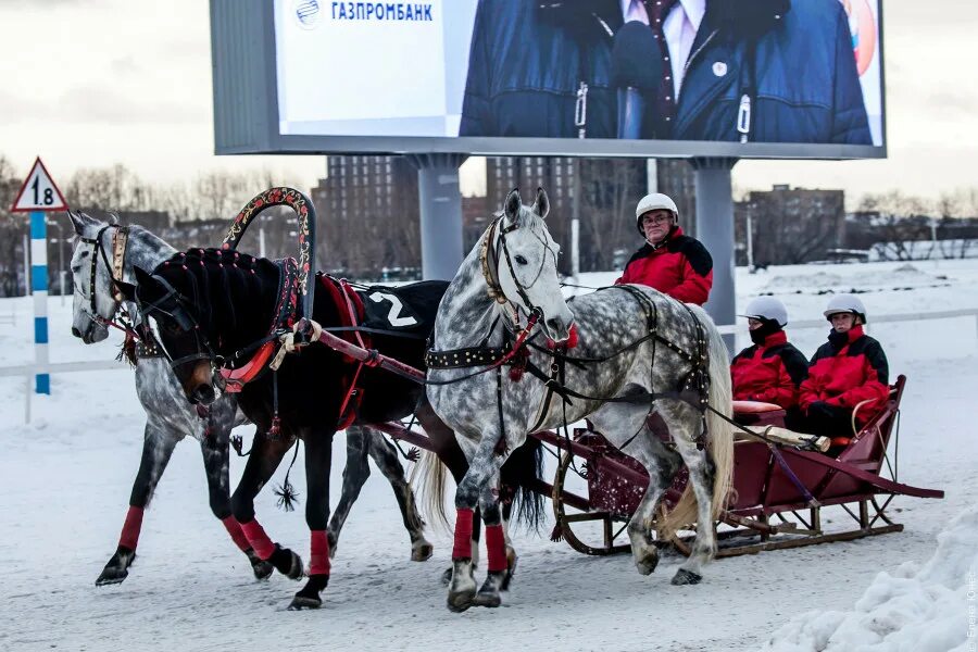 Тройка в 2017 году. Тройка. Русская тройка. Коломенское зимой тройка. Коломенское катание на тройке зимой.