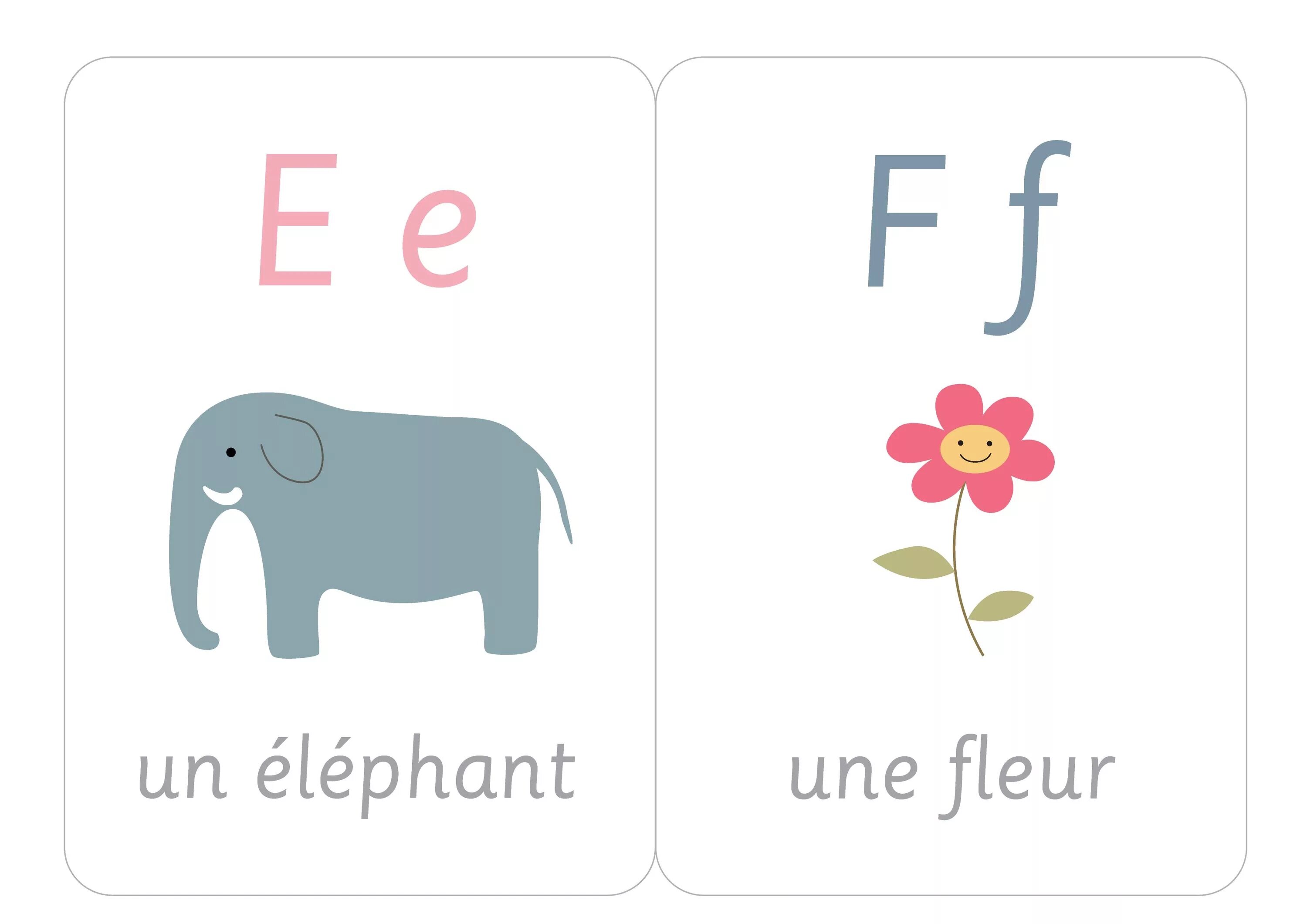 E f g h