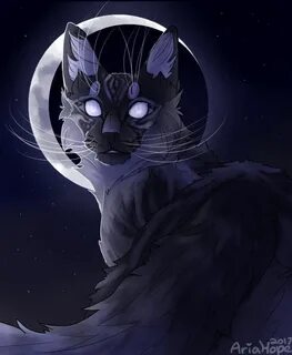 Коты воители ночь