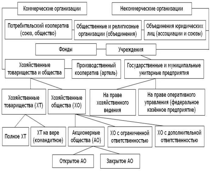 Формирование общественных организаций