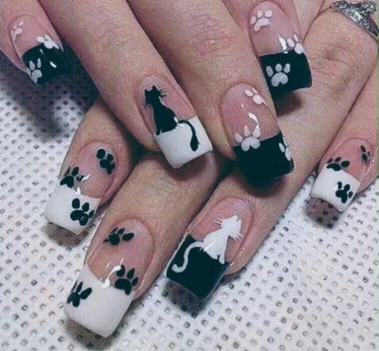 Ногти черный кот. Ногти с котиками. рисунки на ногтях. французский маникюр с кошками.