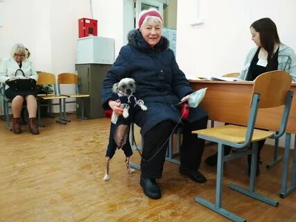 Явка в 2012