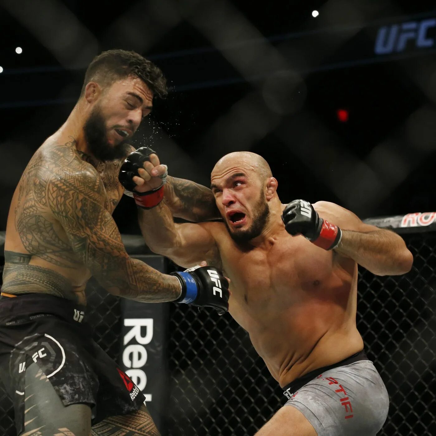 Кори андерсон гловер тейшейра. Илир латифи рост. Кори андерсон гловер тейшейра. Латифи. Илир латифи.