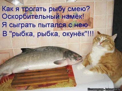 Рыбка помоги сделай милость