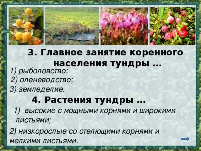 Основным занятием тундры является. Основные занятия населения тундры. главное занятие коренного населения тундры. зона лесов занятия населения. население и занятия в зоне леса.
