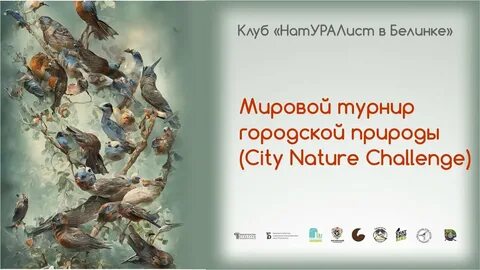 Клуб натуралистов