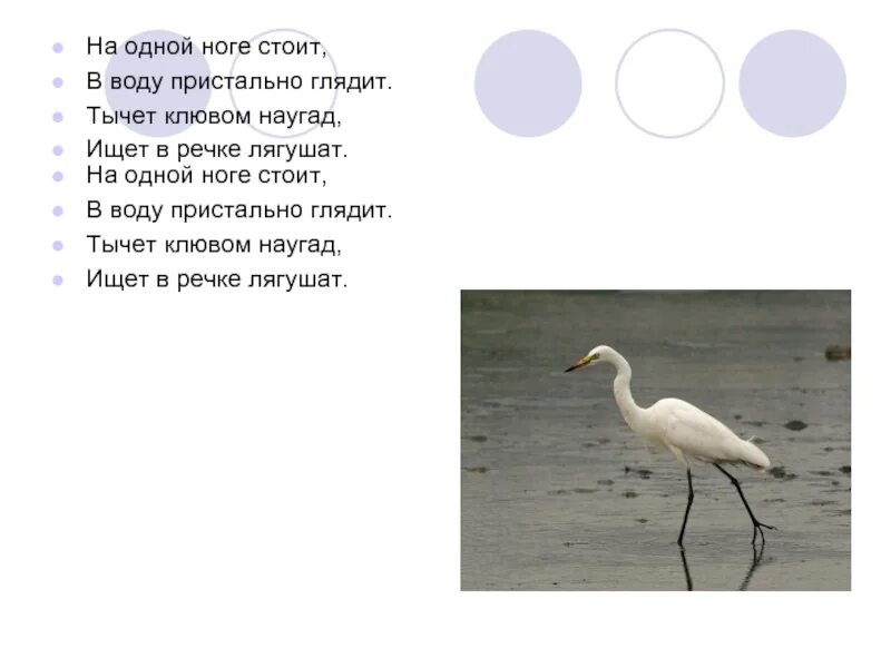 Цапля задания для детей. Вес цапли. Журавль стоит на двух ногах а цапля. Ноги журавля. Задача про журавлей и цапель по математике решение.