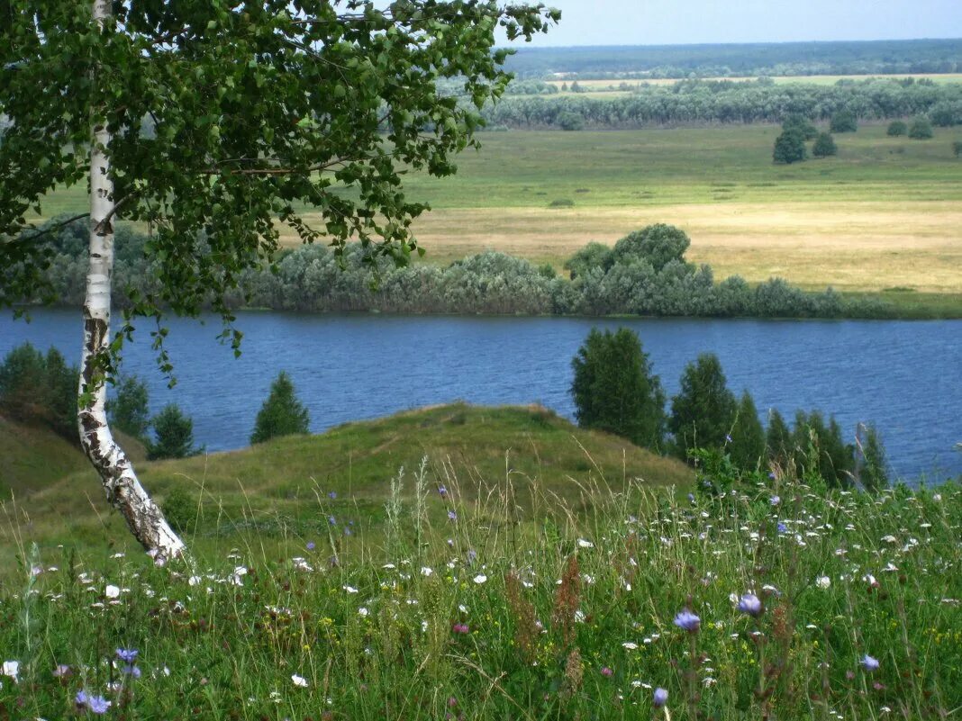 Родина Есенина природа. Пейзаж Константиново Родина Есенина. Деревня Есенина природа. Александровский район деревня Числавль