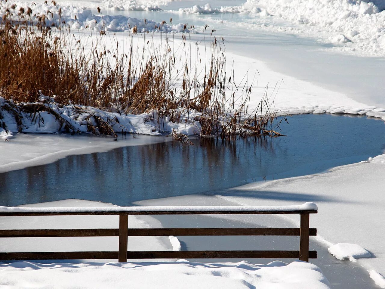 Зимний водоем. Замерзший пруд. Водоемы зимой. Зима пруд река заледенели. Зимний пруд со льдом.