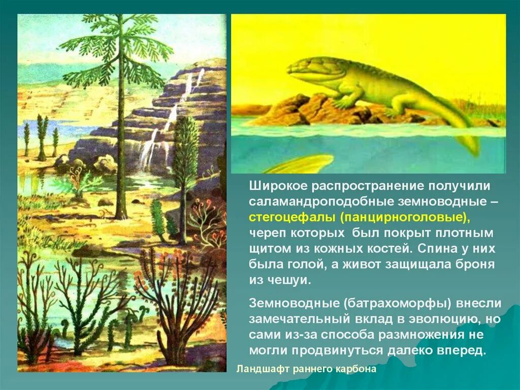 400 млн лет назад какой период. Палеозойская Эра стегоцефалы. Стегоцефал среда обитания. Вымершие животные стегоцефалы. Ароморфозы стегоцефалов.