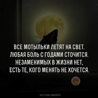 Почему мотыльки свет