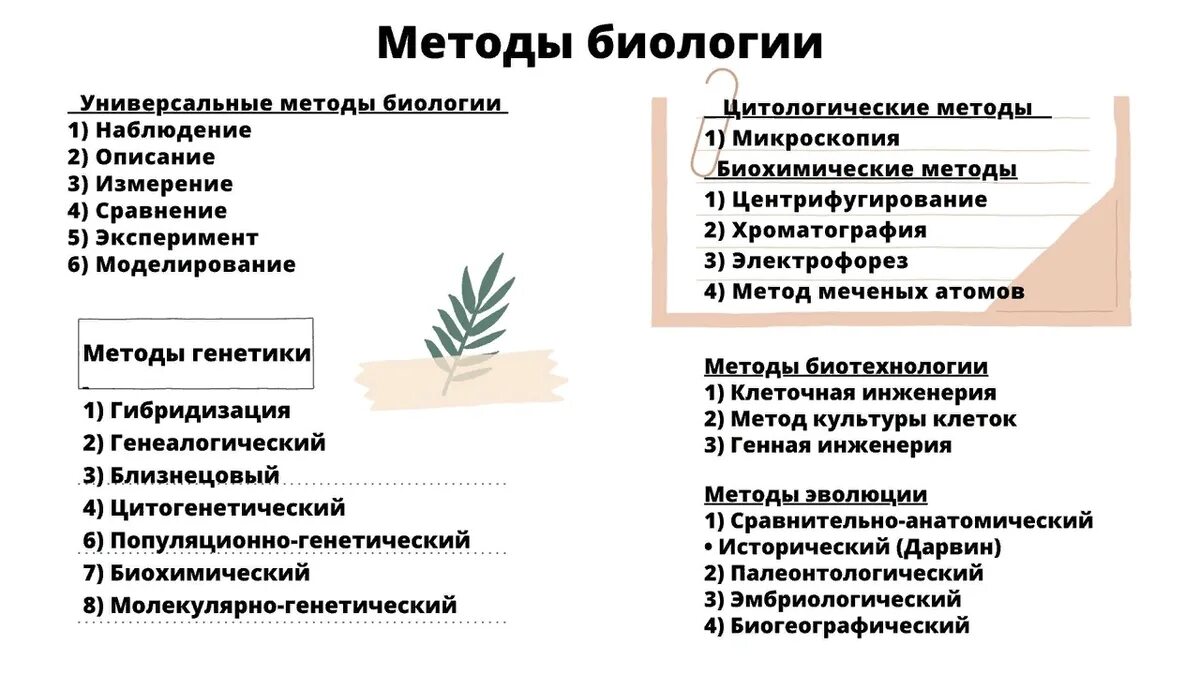 Методы биологии ЕГЭ 2023. Методы биологических исследований ЕГЭ 2023. Методы исследования в биологии. Методы исследования в биологии ЕГЭ. Методы егэ 2023