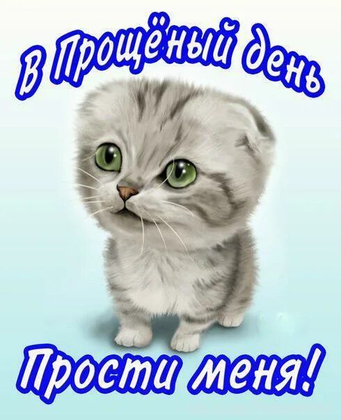 Прости следующую. Открытки с прощённым воскресеньем. прошу прощения открытка. открытка &quot;прости&quot;. простите меня.