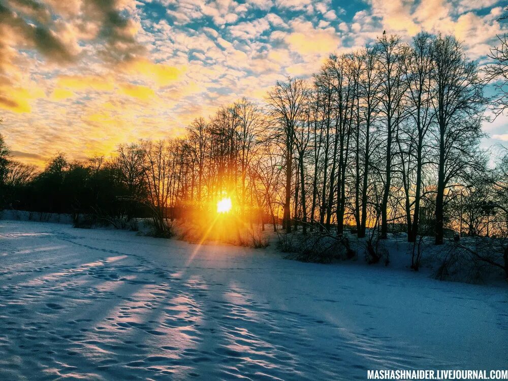 Когда выходит солнце зимой. Зима солнце. Яркое солнце зимой. Солнечный зимний день. Когда выходит солнце зимой.