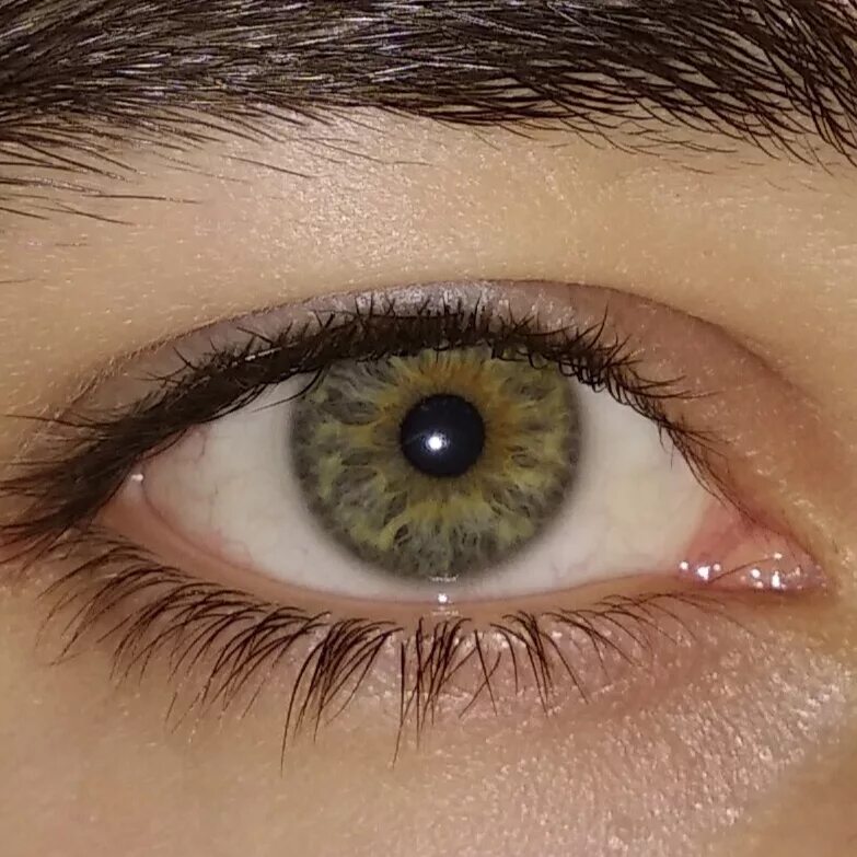 Орехово болотные глаза. Болотный цвет глаз. Коричнево зеленые глаза. Темно болотный цвет глаз.