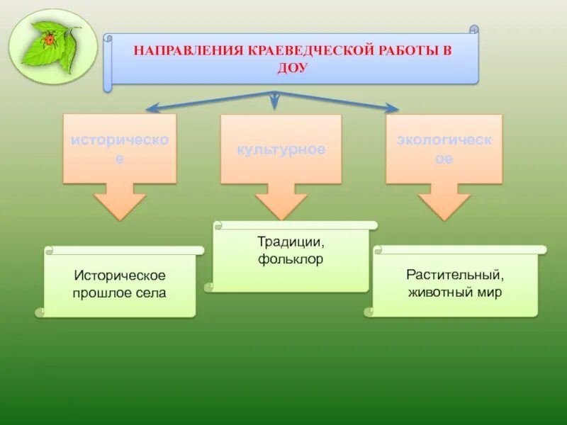 Направления экологического образования. Направления краеведения в ДОУ. Направления работы в ДОУ. Формы работы по краеведению в детском саду. Основные направления краеведения.