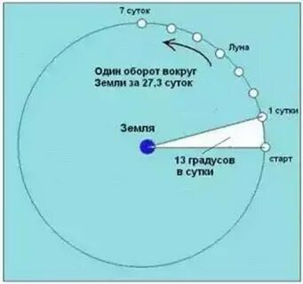 За сколько суток луна