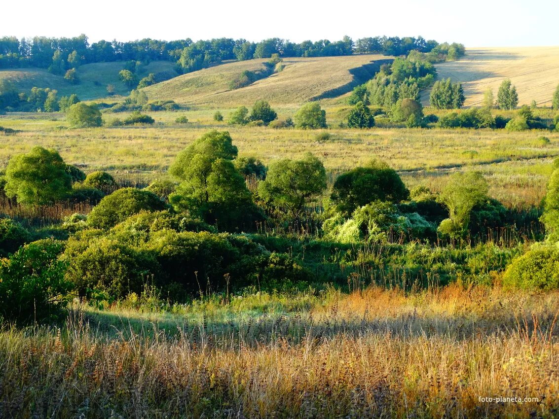 Любимовка курская область курск. Любимовка курск. Курск мальцево. Храм курская область большесолдатский. Любимовка курская область курск.