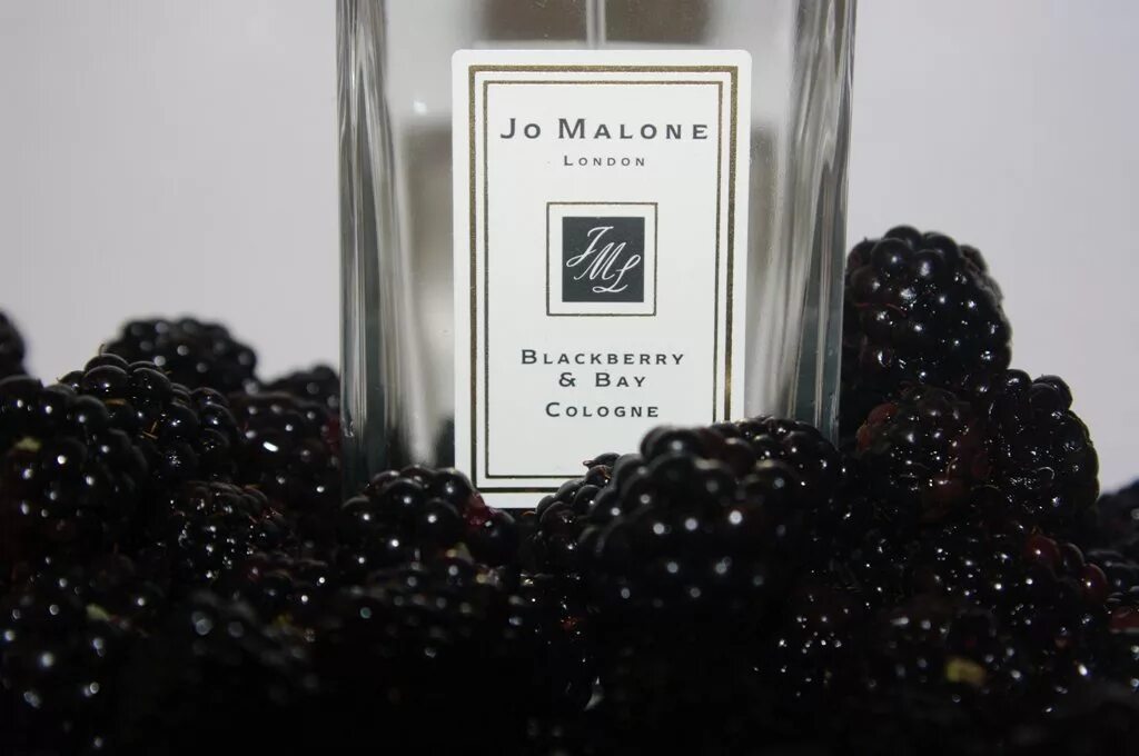 Аромат blackberry. Blackberry & bay jo malone london. Аромат джо малон блэкберри. Джо малон духи блэкберри. Духи джо малон ежевика.