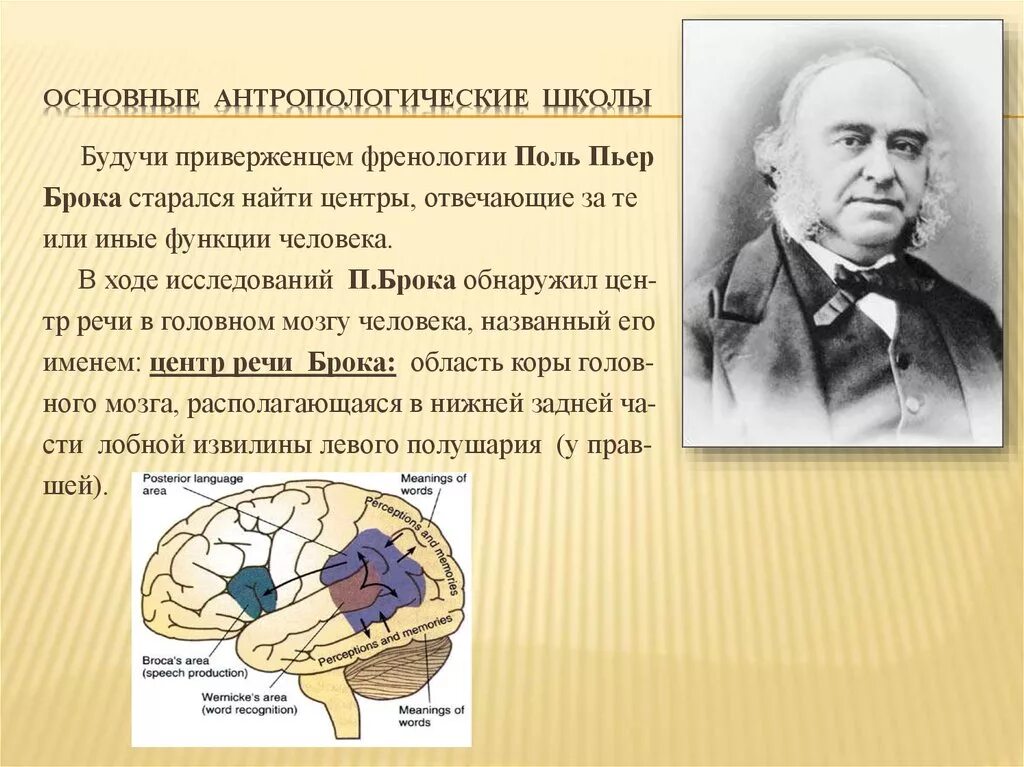 Поль Брока 1824-1880. Пауль Брока. Брока ученый. Антропологическая школа. Поль брока