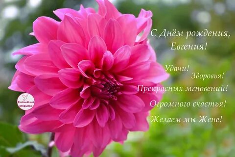 Женя с юбилеем картинка