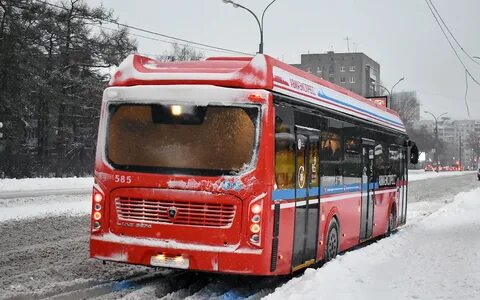 Автобус 585