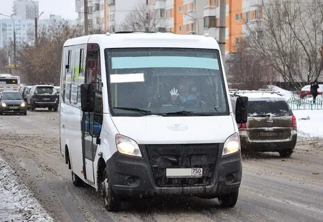 Верните номера автобусов