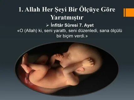 Her bir