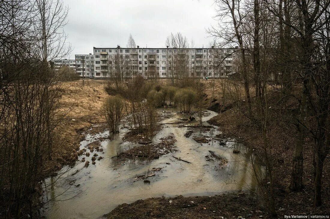 Светогорск Ленинградская область. Город Светогорск Выборгского района. Светогорск Иматра. Светлогорс Ленинградская область.