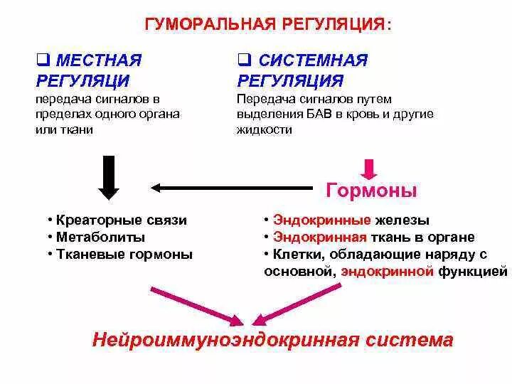 Форма передачи сигнала гуморальной регуляции. Регуляция нервная и гуморальная схема. Типы гуморальной регуляции. Регуляция функций организма нервная и гуморальная регуляция.