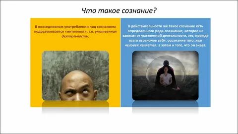 Помутнение рассудка
