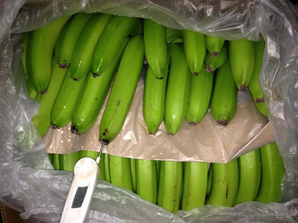 Где купить банан. Бананы опт. Зеленые бананы в ящиках. Бананы оптом. Бананы магазинные.