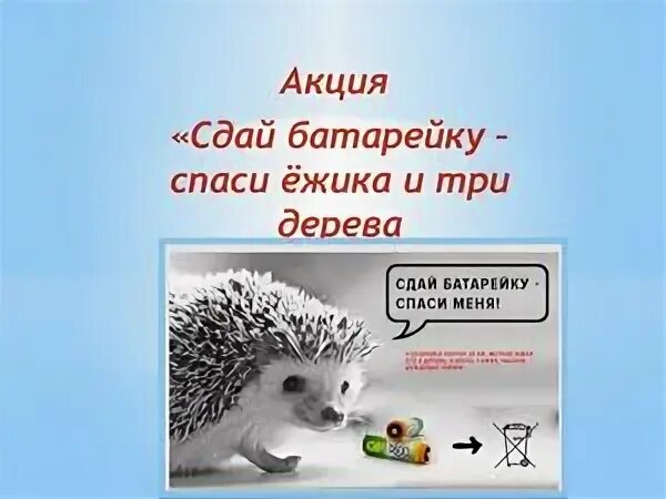 Акция спасем ежика батарейки. Сдай батарейку спаси ежика. акция сдай батарейку спаси ежика. ежик и батарейка. спасем ежика батарейки.
